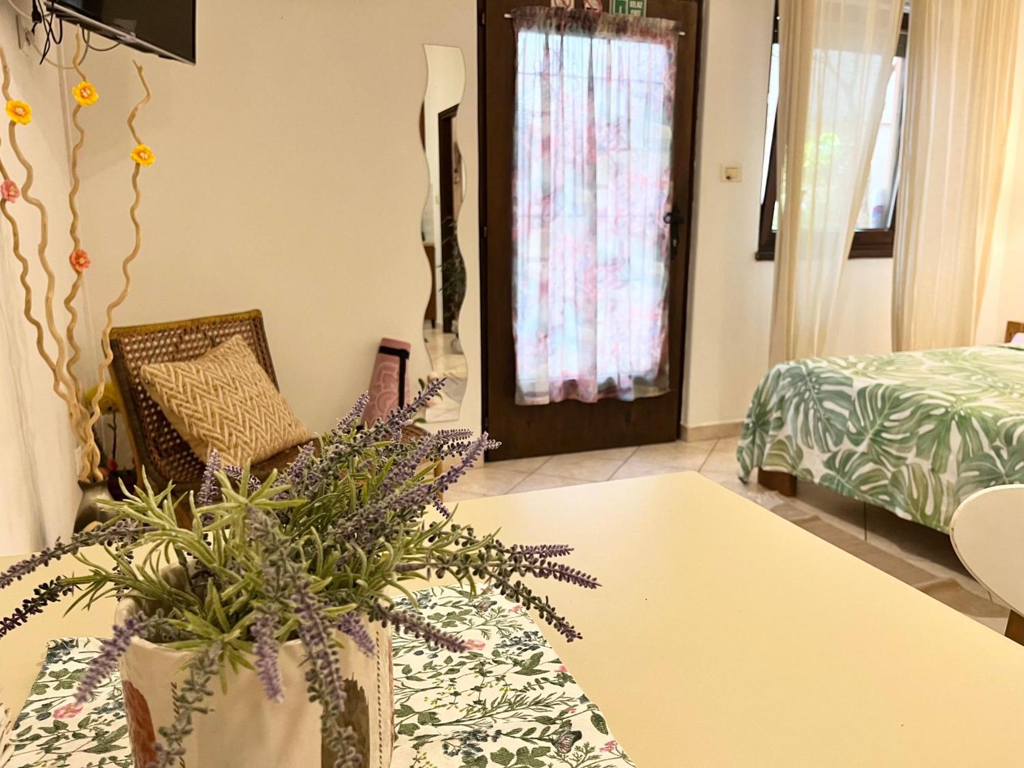 Biba Apartments Pula Zewnętrze zdjęcie