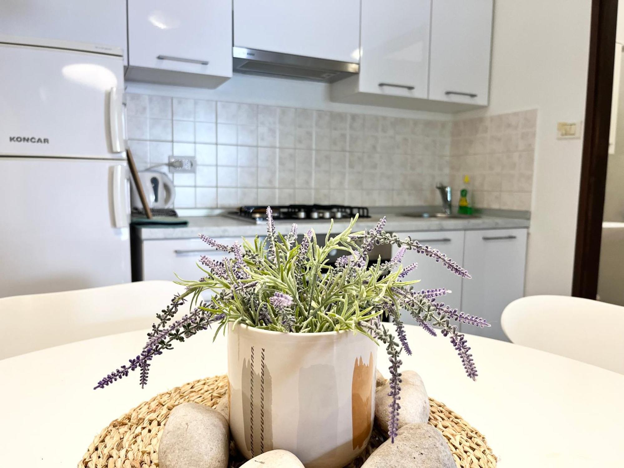 Biba Apartments Pula Zewnętrze zdjęcie
